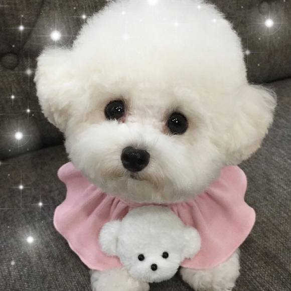 Meet your Posher, Mandy - Picture 1 of 1